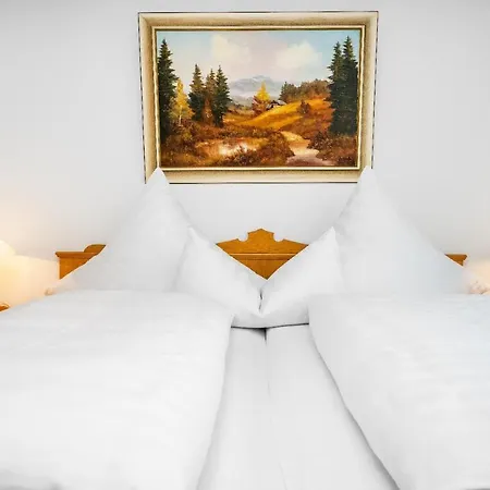 Apartment Jonuscheit Bodenmais